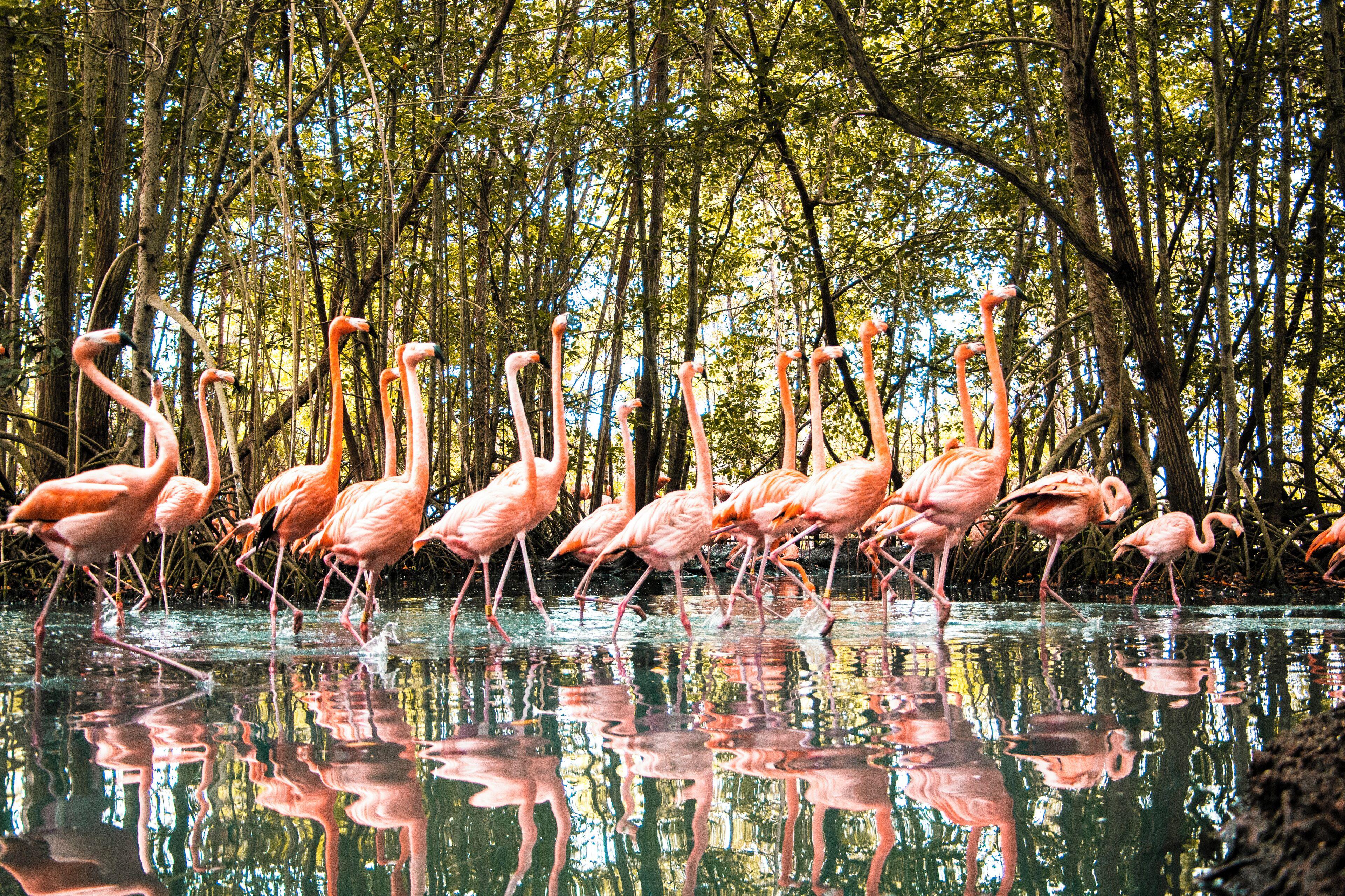 Hotel Bastión Luxury